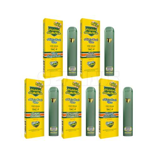 Hidden Hills 1g Mini Mart Live Diamonds THC-P Disposable – Wholesale Vape Pen